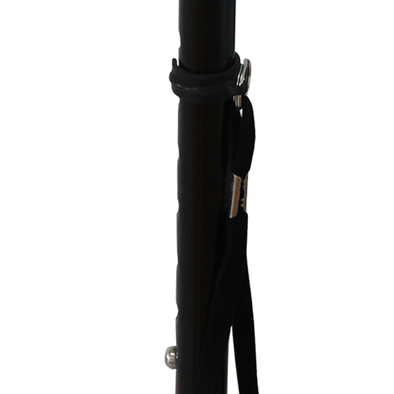 3 legged cane (4)