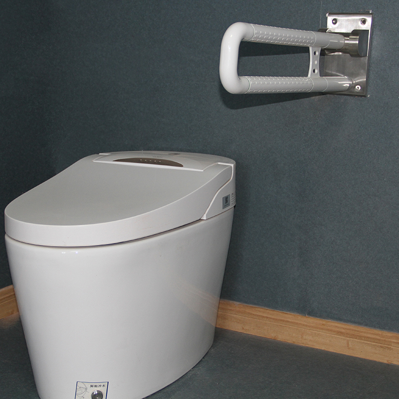folding grab bars (1)
