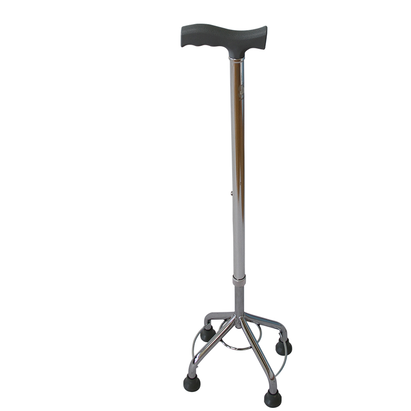 walking stick with 4 legs (1)