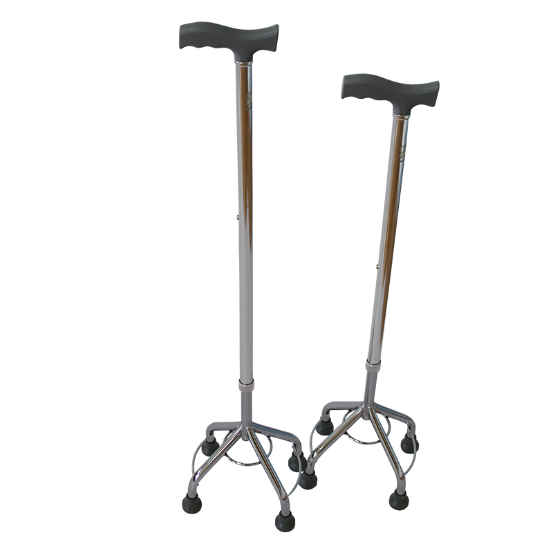 walking stick with 4 legs (2)