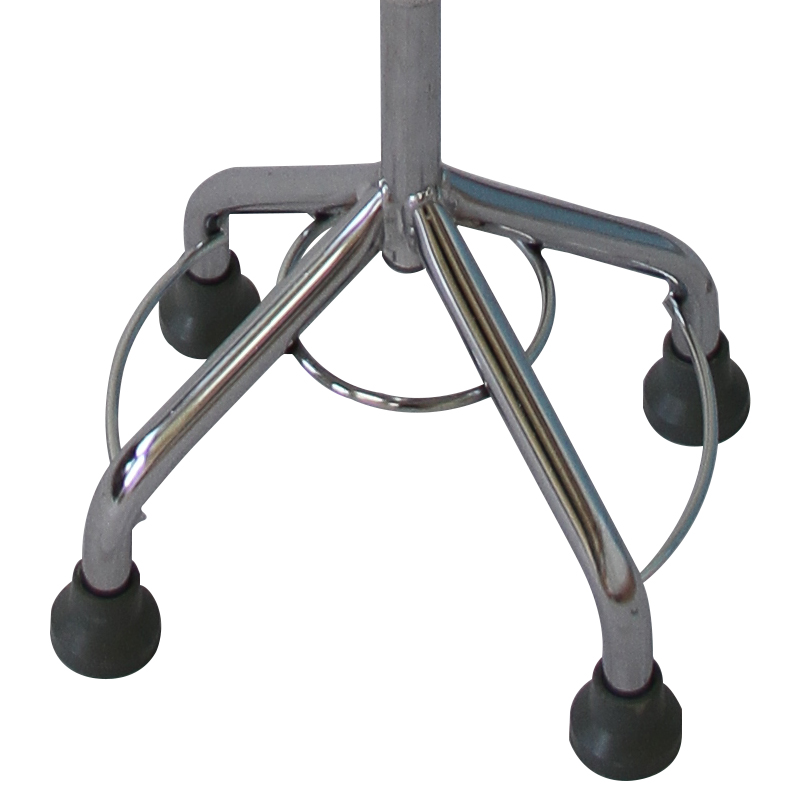 walking stick with 4 legs (3)